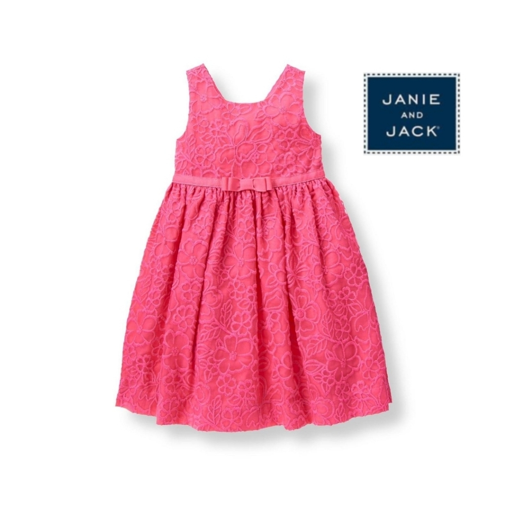 NWT Janie and Jack Pink Floral Embroidered Organza Dress Fully Lined size 4